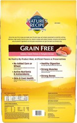 Nature's Recipe Grain-Free Salmon, Sweet Potato & Pumpkin Recipe Dry Dog Food, 24-lb bag, bundle of 2 slide 2 of 7