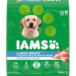 chewy iams large breed