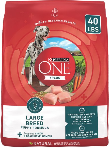 Purina ONE +Plus Natural High Protein Large Breed Formula Dry Puppy Food, 40-lb bag slide 1 of 11