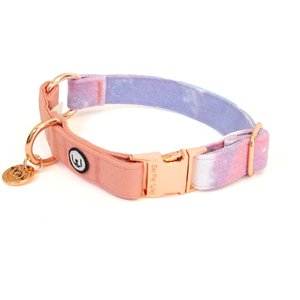 Eat Play Wag Cotton Candy Standard Dog Collar, Small: 11 to 14 in-neck, 3/4-in wide