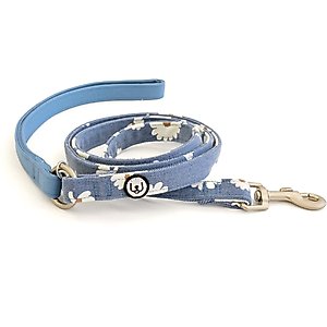 Eat Play Wag Daisy Fields Standard Dog Leash, 1/2-in