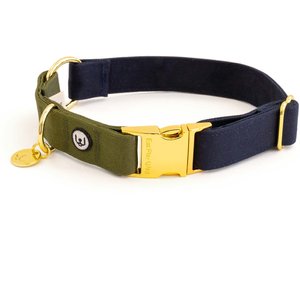 Eat Play Wag Standard Dog Collar, Blue, Green, Medium: 14 to 18-in neck, 1-in wide
