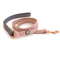 Eat Play Wag Standard Dog Leash, Gray, Pink, 1/2-in