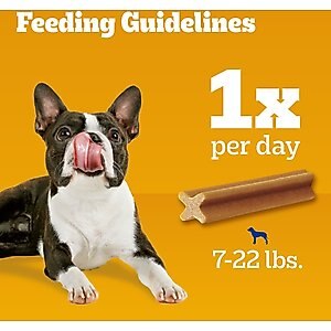 Pedigree Dentastix Mini Dental Dog Treats, 24 count