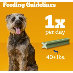 Pedigree Dentastix Fresh Mint Flavored Large Dental Dog Treats, 36 count