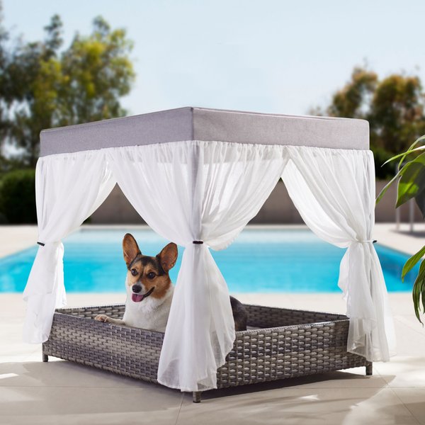 Frisco Outdoor Wicker Canopy Dog Bed slide 1 of 6