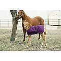 Kensington Protective Products Signature Adjustable Foal Horse Turnout, Purple, 30-38-in