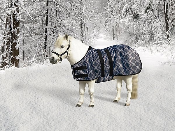 Kensington Protective Products Signature Mini Medium Weight Horse Turnout, Deluxe Black, 42-in slide 1 of 1
