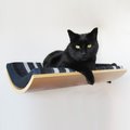 Curve Wall-Mounted Cat Perch, Birch/Stripe