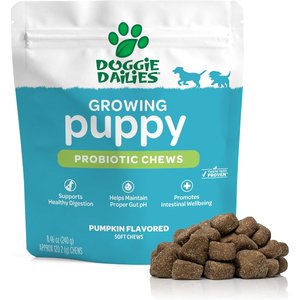 Doggie Dailies Puppy Probiotics for Puppies with Digestive Enzymes, Promotes Digestive Health, Supports Immune System & Overall Development, 120 count