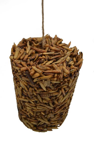 Little Farmer Products Peck a Grub Hanging Chicken Treats, 6-oz jar slide 1 of 5
