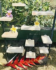 CrazyCritterThings Kiln Dried Pine Leaping Ledges Small Pet Habitat Accessory, 10 count