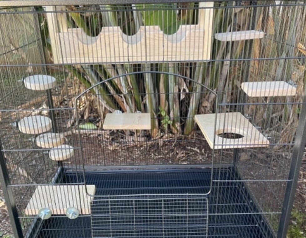 CRAZYCRITTERTHINGS Cage To Castle Small Pet Habitat Accessory Customer