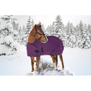 Kensington Protective Products Signature Adjustable Weanling Horse Turnout Blanket, Purple, 50-58-in