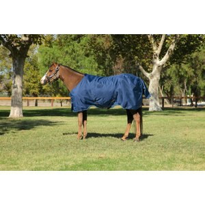 Kensington Protective Products Signature Light Weight Horse Turnout Blanket
