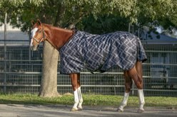 Kensington Protective Products Signature Rain Sheet Horse Turnout, Deluxe Black, 69-in