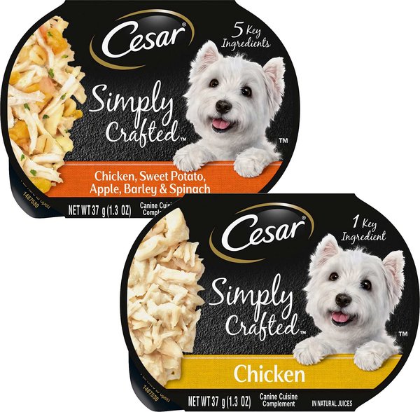 Cesar Simply Crafted Chicken, Sweet Potato, Apple, Barley & Spinach Limited-Ingredient + Chicken Limited-Ingredient Wet Dog Food Topper slide 1 of 9