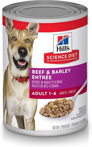 Hill's Science Diet Adult Beef & Barley Entree Canned Dog Food, 13-oz, case of 12, bundle of 2 slide 1 of 10