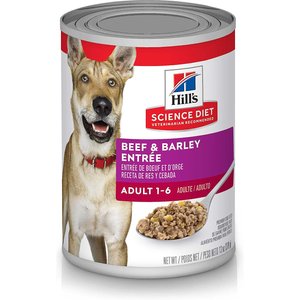Hill's Science Diet Adult Beef & Barley Entree Canned Dog Food, 13-oz, case of 24