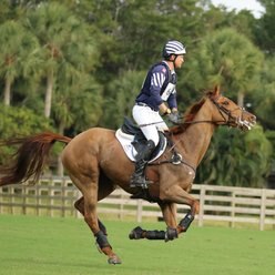 Majyk Equipe XC Color Elite Arti-Lage Response Technology Horse Boots, 2 count, Jett Black, Small-Hind Pair slide 2 of 2