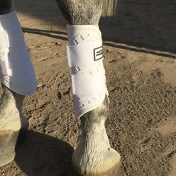 Majyk Equipe Arti-Lage Response Technology Dressage Horse Boots, 2 count, White, Small slide 2 of 2