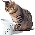 Necoichi Tilted Stress Free Raised Cat Food Bowl, 2 cup