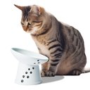 Necoichi Tilted Stress Free Raised Cat Food Bowl, 2 cup, Cat