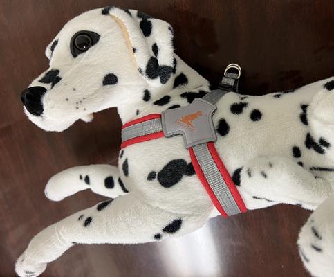 Show full view: Doggy Tales Step In V Dog Harness, Red, Medium slide 4 of 5