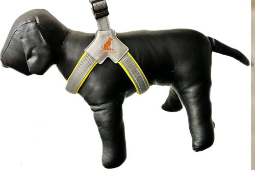 Show full view: Doggy Tales Step In V Dog Harness, Yellow, XX-Large slide 3 of 6