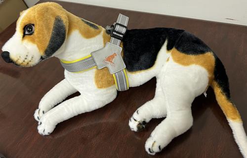 Show full view: Doggy Tales Step In V Dog Harness, Yellow, XX-Large slide 4 of 6