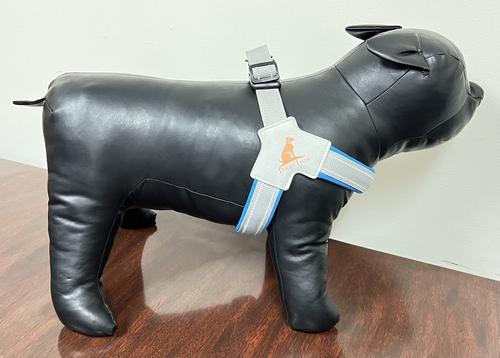 Show full view: Doggy Tales Step In V Dog Harness, Blue, XX-Large slide 3 of 5