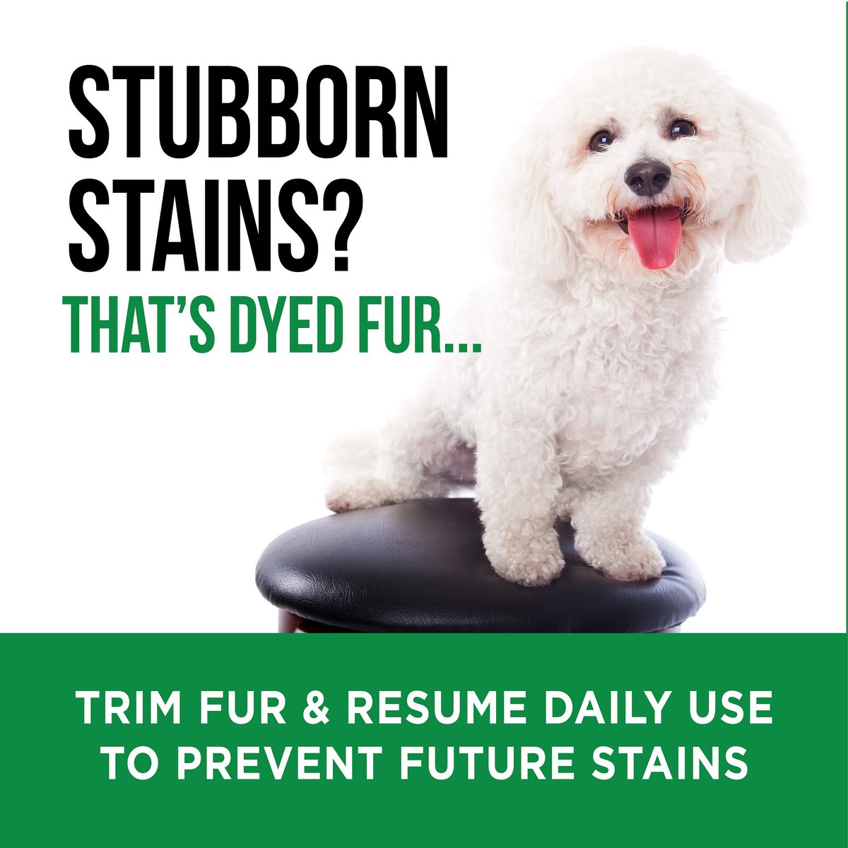 NATURAL RAPPORT The Only Dog Eye Tear Stain Remover, 8oz bottle