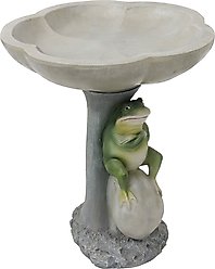 Sunnydaze Decor Polyresin Brooding Frog on Stone Outdoor Garden Bird Bath