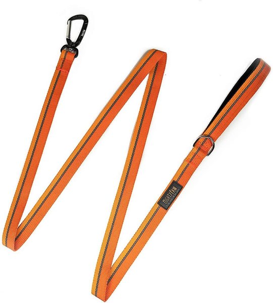 Mighty Paw Polyester Reflective Colorblast Dog Leash, 6-ft long, Orange slide 1 of 8