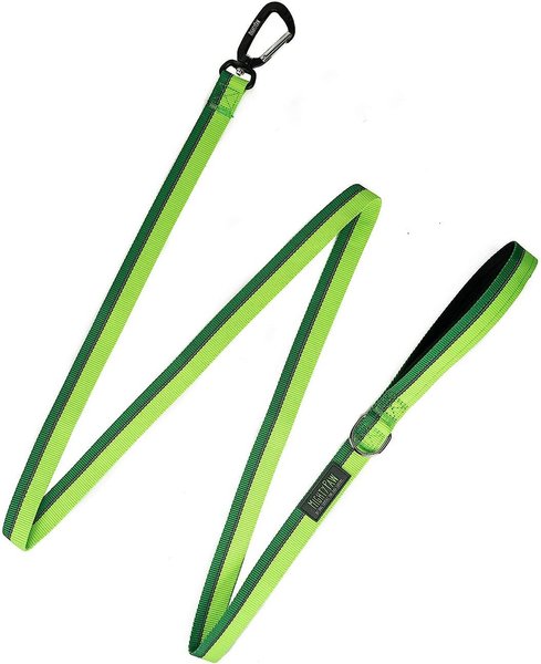 Mighty Paw Polyester Reflective Colorblast Dog Leash, 6-ft long, Green slide 1 of 8
