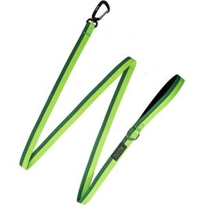Mighty Paw Polyester Reflective Colorblast Dog Leash, 6-ft long, Green