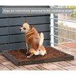 BARK POTTY Natural Disposable Dog Potty Pad, 20x30-in - Chewy.com