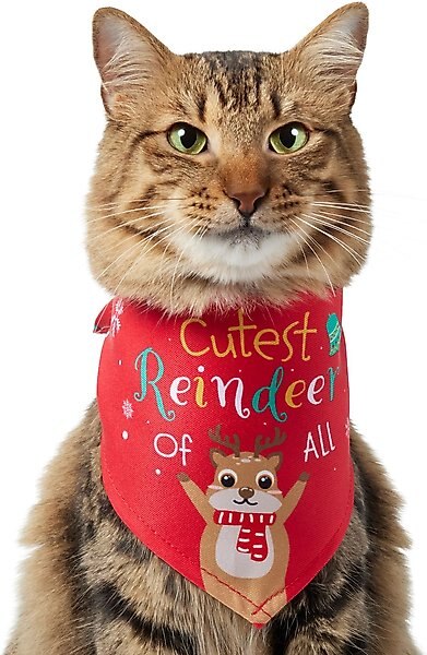 Frisco Cutest Reindeer of All Dog & Cat Bandana, X-Small/Small slide 1 of 9
