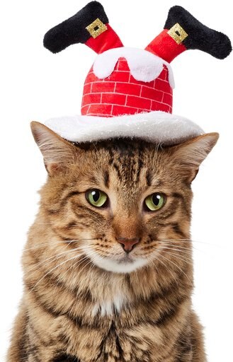 Frisco Down the Chimney Dog & Cat Headpiece, X-Small/Small