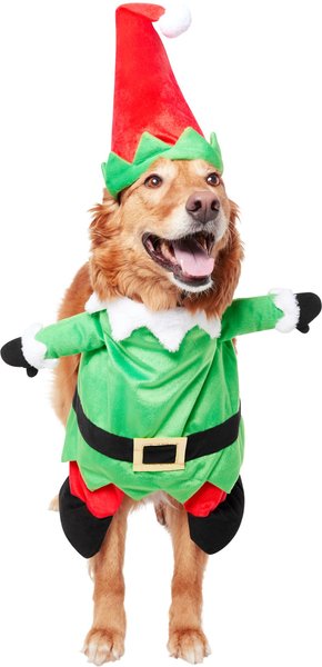 Frisco Front Walking Elf Dog & Cat Costume, Large slide 1 of 9