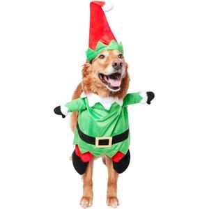 Frisco Front Walking Elf Dog & Cat Costume, Large