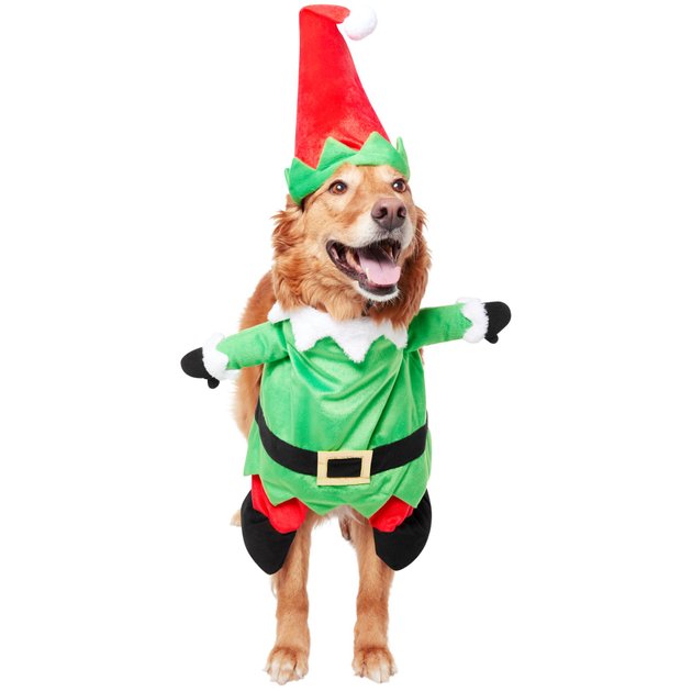 FRISCO Front Walking Elf Dog Cat Costume, X-Large | Santa Claus Christmas  Pet Costumes Dog Apparel Party Dressing Up Clothing For Small Large Dogs  Cats Clothes Pet Outfit 