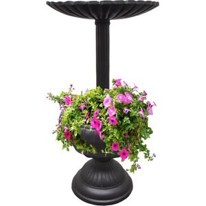 Oakland Living Modern Round Cast Bird Bath & Feeder Combo