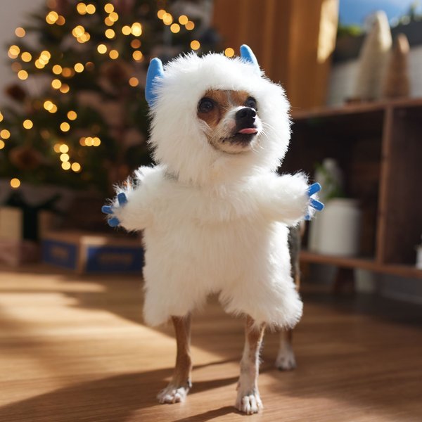 Frisco Front Walking Snowman Dog & Cat Costume