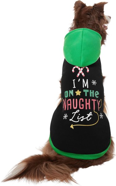 Frisco I'm On the Naughty List Dog & Cat Hoodie, Large slide 1 of 8
