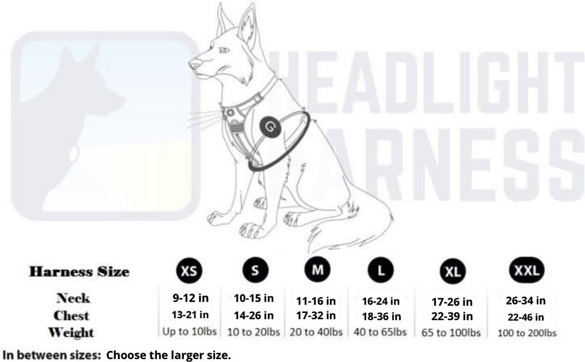 Headlight 2024 harness dog