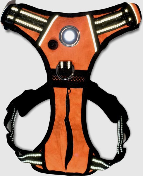 Headlight Harness LED Light Dog Harness, Orange, Large slide 1 of 6
