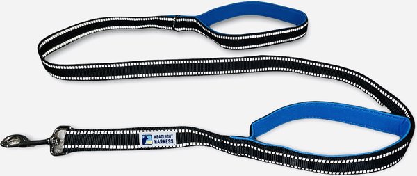 Headlight Harness Double Handle Reflective Dog Leash, 6-ft, Blue slide 1 of 4