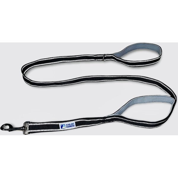 K9 EXPLORER Scissor Snap Reflective Dog Leash, Berry, 6ft long, 1in