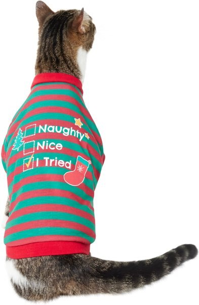 Frisco Naughty, Nice, I Tried Dog & Cat T-Shirt, X-Small slide 1 of 8